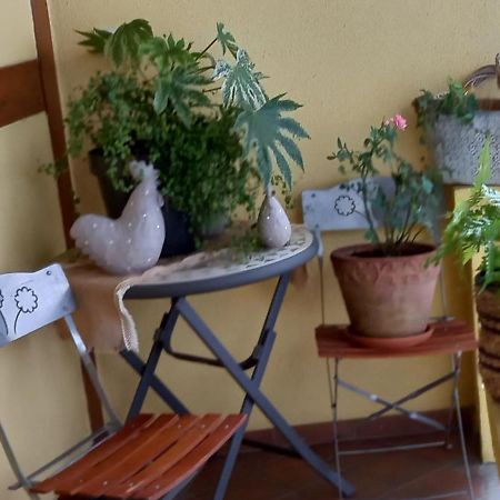 S'Gleina Gleck, In The Heart Of A Wine City, Charmant Studio 1 Piece Et 1 Salle De Bain Kaysersberg-Vignoble Exterior foto