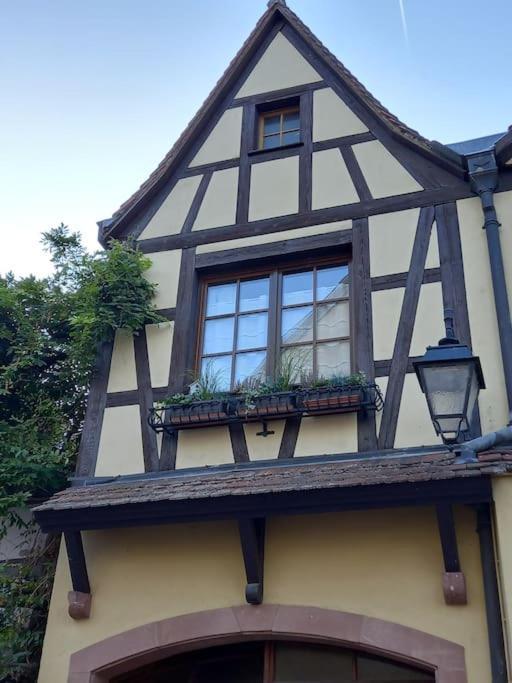S'Gleina Gleck, In The Heart Of A Wine City, Charmant Studio 1 Piece Et 1 Salle De Bain Kaysersberg-Vignoble Exterior foto