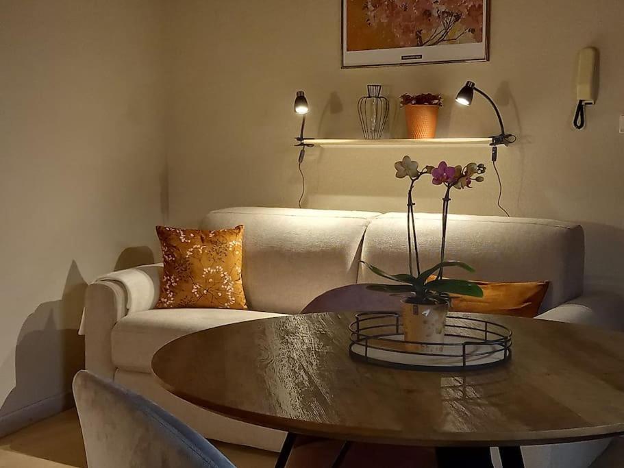 S'Gleina Gleck, In The Heart Of A Wine City, Charmant Studio 1 Piece Et 1 Salle De Bain Kaysersberg-Vignoble Exterior foto